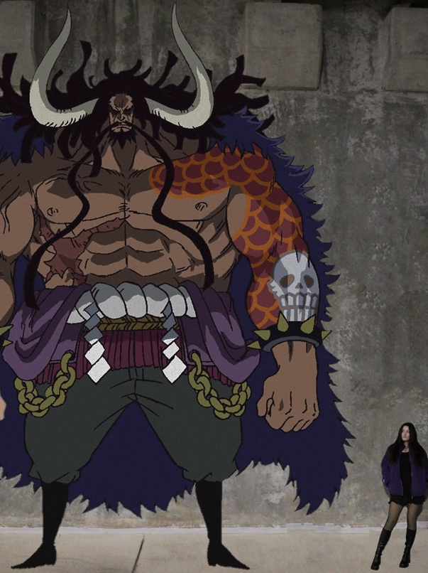 “One Piece” Sherpa Jacket--Couple style-- Kaido