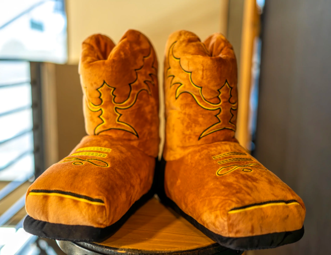 Women's The House Slippers Boots