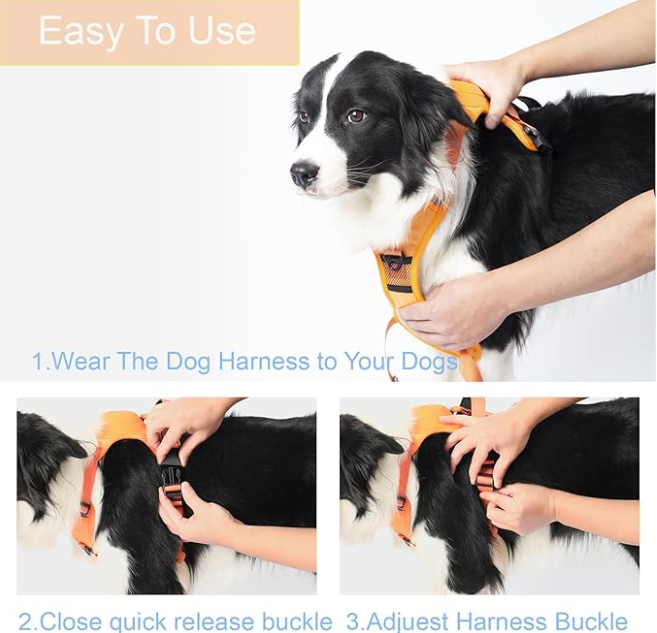 Retractable dog leash