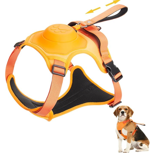Retractable dog leash