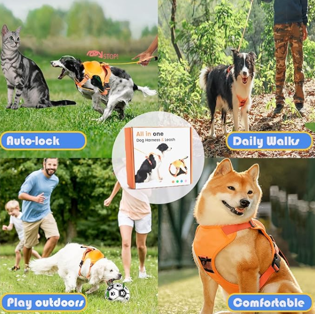 Retractable dog leash