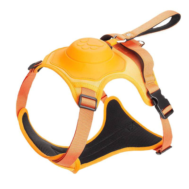 Retractable dog leash