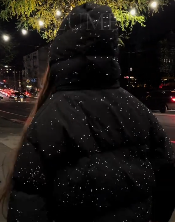 Black shimmering women's coat